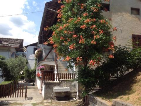 Peter Ranch 3 Apartment Vico Canavese Exterior photo
